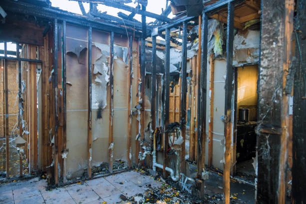 Professional Fire Damage Removal technician working in Hutchinson Island South, FL